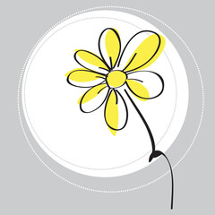 flower, daisy chamomile