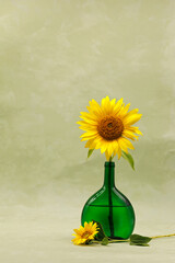 sunflower flower in a beautiful green vase with a narrow neck on a soft green background