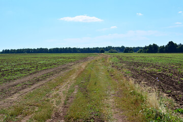 Fototapeta na wymiar dirty country road with tire tracks from tractor going to horizon