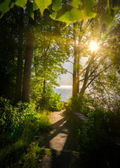 Mariners Trail Path