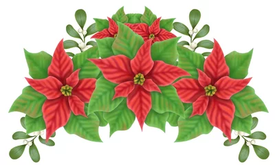 Foto auf Acrylglas Christmas decoration with poinsettia flowers and mistletoe branches with berries. © Людмила Зеленюк