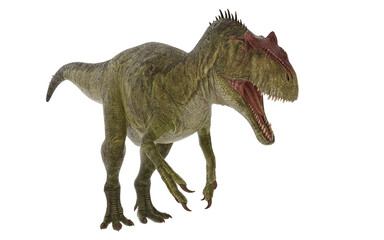 Dinosaur allosaurus on white background