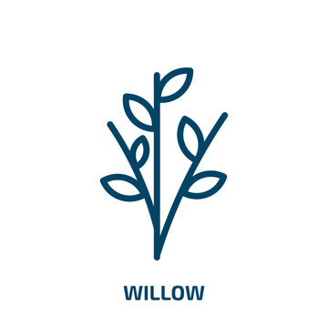 willow icon from nature collection. Thin linear willow, nature, forest outline icon isolated on white background. Line vector willow sign, symbol for web and mobile