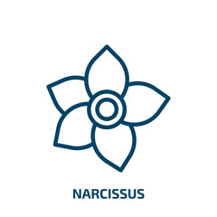 narcissus icon from nature collection. Thin linear narcissus, spring, floral outline icon isolated on white background. Line vector narcissus sign, symbol for web and mobile