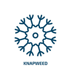 knapweed icon from nature collection. Thin linear knapweed, blossom, flower outline icon isolated on white background. Line vector knapweed sign, symbol for web and mobile