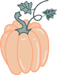pumpkin vegetable vector hand drawn illustration seasonal autumn harvest
