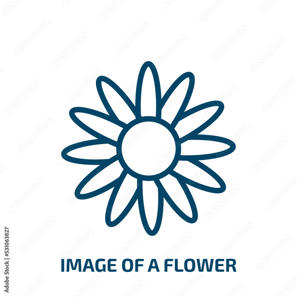 Poster image of a flower icon from user interface collection. thin linear image of a flower, spring, floral