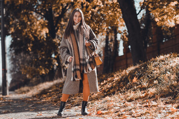 Full size photo of funky brown hairdo lady wear coat scarf bag trousers boots outdoors in park