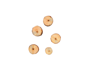 Wood slice cross section with tree decor for Christmas png transparent