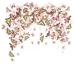 mixed butterfly print design on plain base 