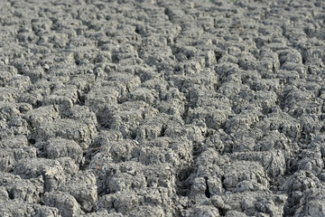 Desertification process where biological productivity is lost