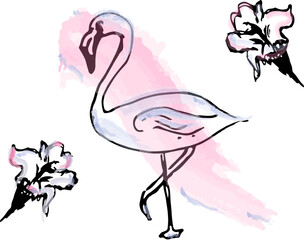 Flamingo watercolor line art vector. Tropical theme posters