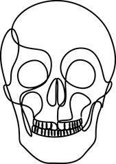 One line human organs design silhouette. Abstract human skull hand drawn outline. Anatomy concept. Continuous line art style. Vector illustration.
