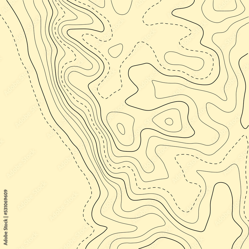 Poster Topographic map background. Grid map. Pattern of contour lines. Abstract vector illustration.