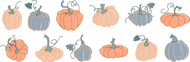 set pumpkin vegetables vector hand drawn illustration seasonal autumn harvest