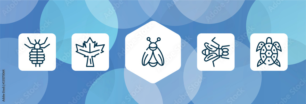 Aufkleber nature outline icon set isolated on blue abstract background. thin line icons such as louse, maple l