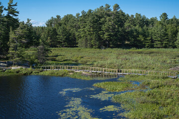 Fototapeta na wymiar Aerial view of the wooden boardwalk through the marsh area with reeds and cane surrounded by coniferous forest.