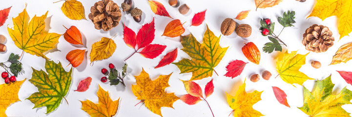 Autumn composition. Autumn colored red, yellow leaves, flowers, berries on white background. Autumn, fall, thanksgiving day greeting card flat lay, top view, copy space