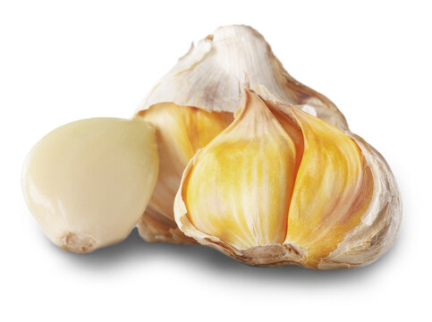 Organic fresh healthy garlic vegetables collection