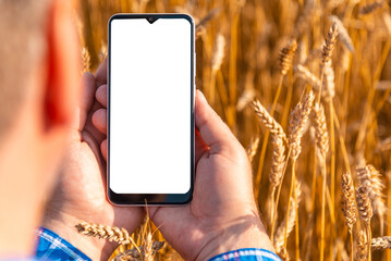 Advertising mockup.Empty white screen mockup,advertisement.Male farmer standing in wheat field and...