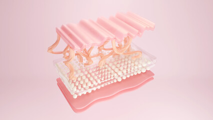 Skin elastin and collagen layer for cosmetic and facial treatment concept. 3D rendering - obrazy, fototapety, plakaty
