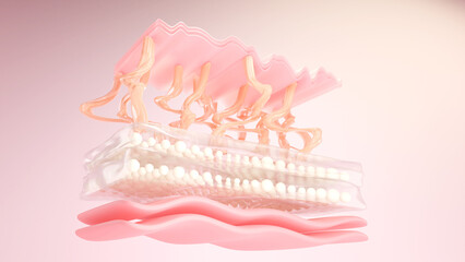 Skin cells and Elastin with collagen layer for facial and skin treatment. 3D rendering - obrazy, fototapety, plakaty