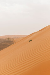 Fototapeta na wymiar Wahiba sands in Oman