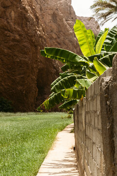 Oman Wadi Bani Khalid