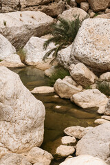 Oman wadi bani khalid