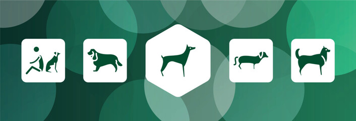 dog breeds fullbody filled icon set isolated on abstract background. glyph icons such as dog and man seating, english cocker spaniel, doberman, dachshund, husky vector. can be used for web and - obrazy, fototapety, plakaty