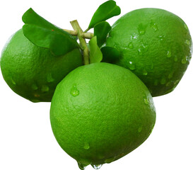 Fresh green pummelo with leaves