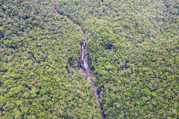 Aerial view of the Borneo rainforest.