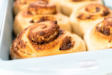 Cinnamon rolls