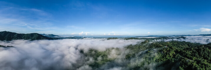 Aerial view of the Borneo rainforest.