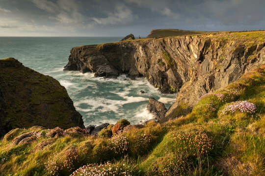 Dramatic cliff top scenery near Padstow on the North Coast of Cornwall, England