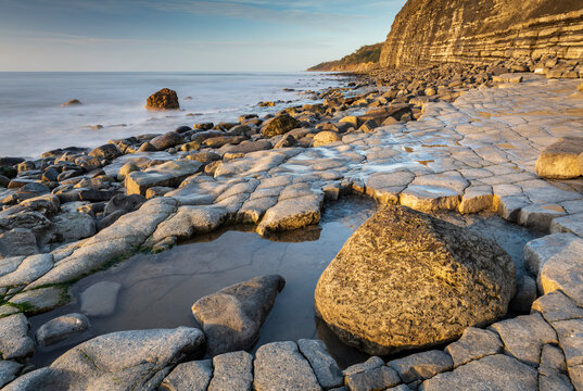 Morning sunlight lighting up the Ammonite Pavement near Lyme Regis, Dorset, England