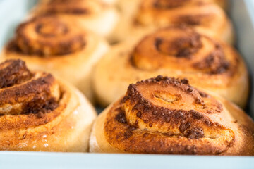 Cinnamon rolls