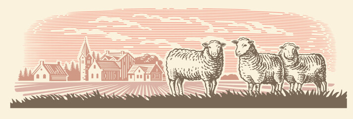 Sheep farm. Village meadow hand drawn sketch