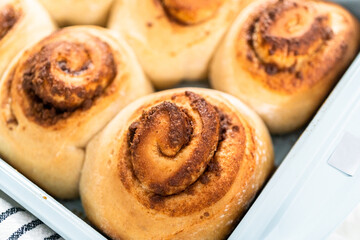 Cinnamon rolls