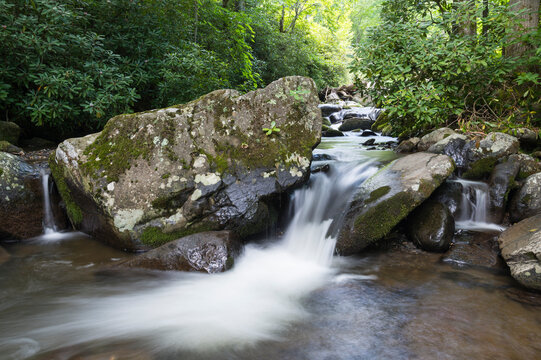 A calming mountain stream flows through dense summer forest, Blue Ridge Mountains, Appalachian Mountains, North Carolina, United States of America