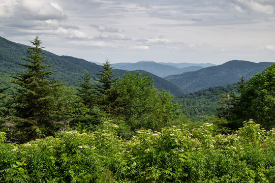 View Of The Blue Ridge Mountains From The Appalachian Trail In Summer, Avery County, North Carolina, United States Of America