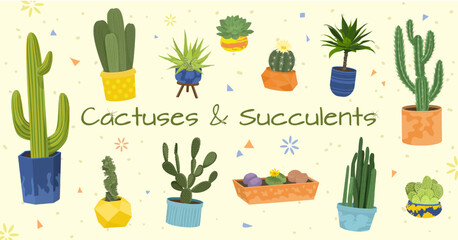 Cactuses Flat Composition Set
