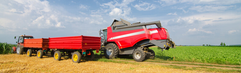 Combine harvester harvesting wheat on a sunny summer day