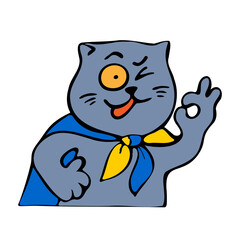Patriot cat in cape with flag of Ukraine and raised hand with an OK finger sign