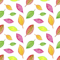 Watercolor autumn leaves seamless pattern isolated on transparent background. Floral illustration.
