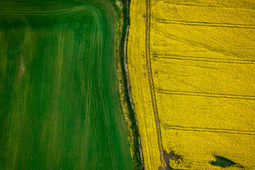 yellow texture