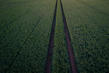 road in the field