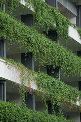  building with plants growing on the facade