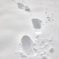 Steps on the snow