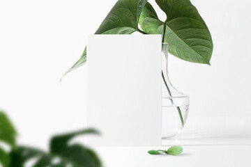 Clean minimal book 4x6 mockup standing on top white table with leaves